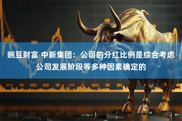 豌豆财富 中新集团：公司的分红比例是综合考虑公司发展阶段等多种因素确定的