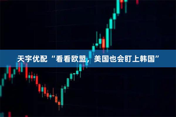 天宇优配 “看看欧盟,美国也会盯上韩国”
